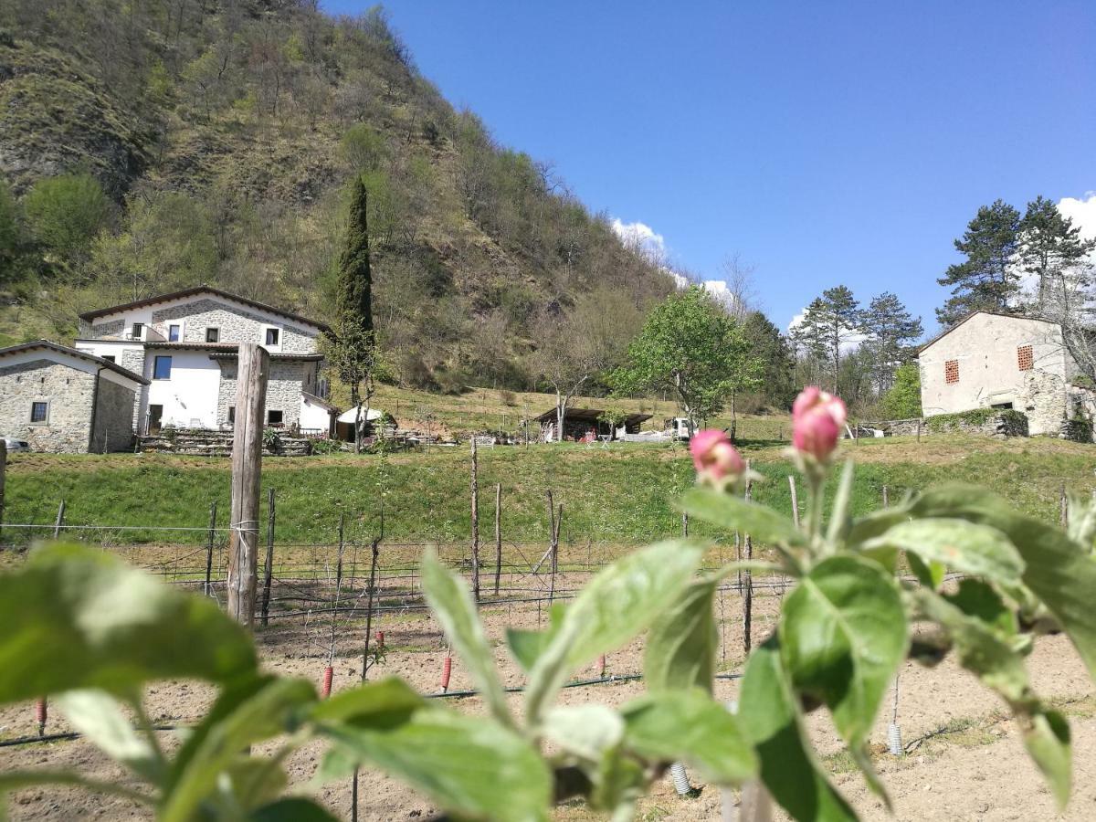 Agriturismo Di La Dall'Acqua Fivizzano Exteriér fotografie